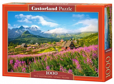 Castorland ���� ����� ������ 1000 ��������� 4512/C-104512 � 10 ���