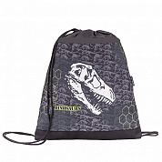 Belmil Мешок-рюкзак для обуви 35х43 см Dinosaurus 336-90/874