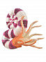 Collecta ������� �������� ������������ L 88927b � 3 ���
