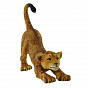 Collecta ������� �������������� S 88416b � 3 ���
