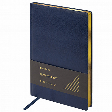 Brauberg ���������� �������������� 210�297�� �4 Iguana 160� ����� 114451
