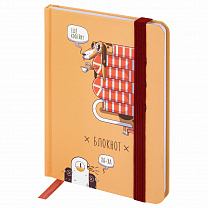 Brauberg ������� � �������� � ������ 96 � �6 ������� ������� �������? 116334