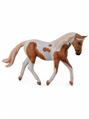 Collecta ������� ������ ������ ����� �������� XL 88692b � 3 ���