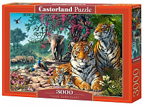 Castorland Пазл Тигровый заповедник 3000 элементов 0600/C-300600 с 14 лет