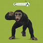 Collecta ������� �������� ����� 88492b � 3 ���