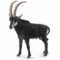 Collecta ������� ���������� �������� L 88564b � 3 ���