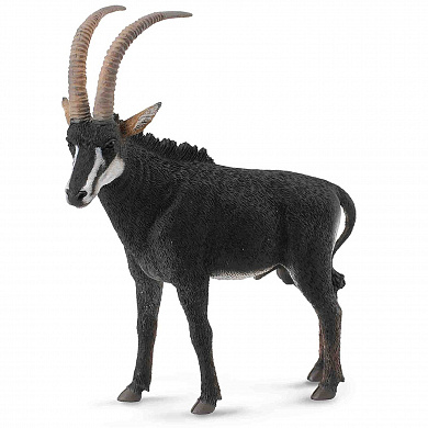Collecta ������� ���������� �������� L 88564b � 3 ���