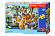 Castorland ����� ����� � ����� 120 ������� (MIDI) � 6 ���