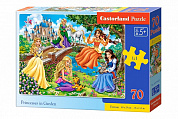 Castorland ���� ��������� � ���� 70 ��������� 0022/B8-07022 � 5 ���