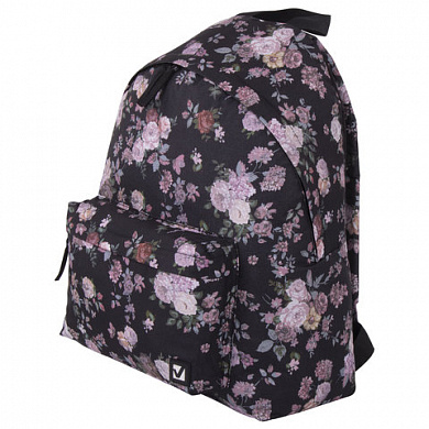 Brauberg ������ �������������, ����-������ 20 � ���� 228852