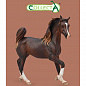 Collecta ������� ������ �������� ������ ���������� XL 88955b � 3 ���