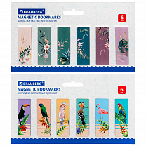 Brauberg �������� ��� ���� ��������� Tropics 12 �� 60x20 �� 113172