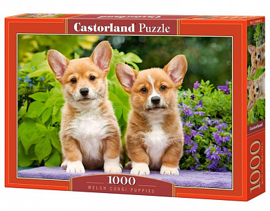 Castorland ���� ����� ����� 1000 ��������� 4659/C-104659 � 10 ���