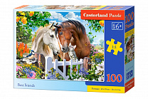 Castorland ���� ������ ������ 100 ��������� 1121/B9-111121 � 6 ���