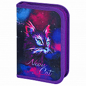 Brauberg    1  1   24  2114  Neon cat 271523