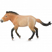 Collecta ������� ������ ������� ������������� XL 88602b � 3 ���