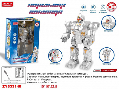 Zhorya �����, �������� �����, �������� (����,����) ZYA-A2740-1 � 5 ���