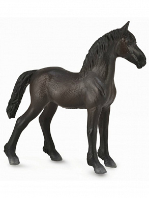 Collecta ������� ������ ��������� �������� ������ ������ M 88815b � 3 ���