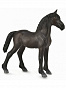 Collecta ������� ������ ��������� �������� ������ ������ M 88815b � 3 ���