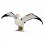 Collecta ������� ������������� ��������� L 88765b � 3 ���