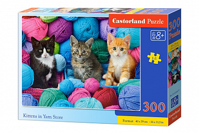 Castorland ���� ������ � ����� 300 ��������� 0477/B7-030477 � 8 ���