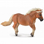 Collecta ������� ����������� ���� �����-����� ����� � 88605b � 3 ���