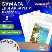 Brauberg ������ ��� �������� �0 1200�840 �� 5 ������, ������� �����, 200 � ������ Art Classic 114487