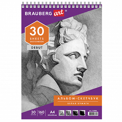 Brauberg �������� ����� ������ 160 �/�2 205�290 �� 30 � ������� �������� Art Debut 110985