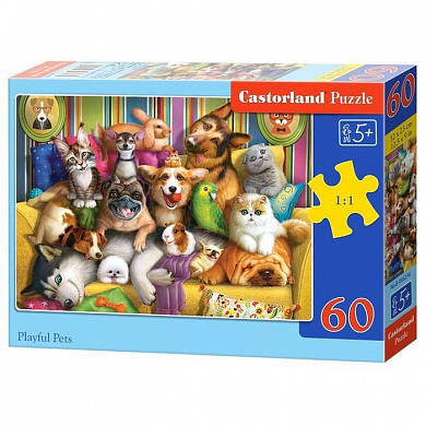 Castorland ����-midi ������� �������� �������� 60 ��������� 6254/B5-066254 � 5 ���