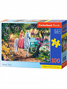 Castorland ����� ������ ����� 100 ������� 1114/B9-111114 � 5 ���