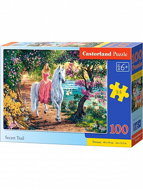 Castorland ����� ������ ����� 100 ������� 1114/B9-111114 � 5 ���