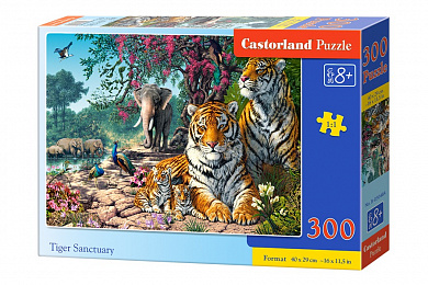 Castorland ���� �������� ���������� 300 ��������� 0484/B7-030484 � 8 ���