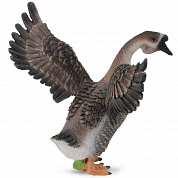 Collecta ������� ���� � 88572b � 3 ���