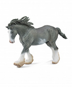 Collecta ������� ��������������� ������� ����� ����� XL 88620b � 3 ���