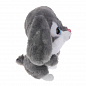 Fluffy Family ������ ������� ������ ����� 15 �� 681877 � 3 ���
