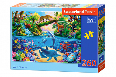 Castorland ����-midi ����� ������� 260 ��������� 7576/B2-27576 � 5 ���