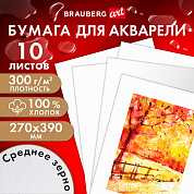Brauberg ������ ��� �������� ������ 100%, 300 �, 270x390 ��, ������� �����, 10 ������ Art Premiere 1