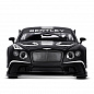 ������������ ������� Bentley Continental GT3 Concept ������ 1:24 ������ J�1251565 � 3 ���
