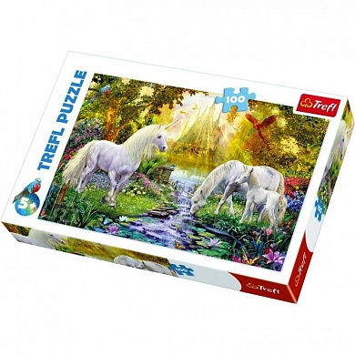 Trefl ���� ������������ ��� 100 ������� MIDI TR16349 � 6 ���