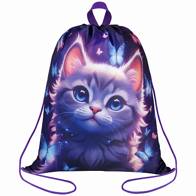Brauberg ����� ��� ����� � ������ 42�34 �� CuRious cat 273434