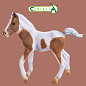 Collecta ������� ������ ��������� ����������� ��������� M 88735b � 3 ���