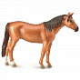 Collecta ������� ������ ������� ������� ������ ����-���������� XL 88847b � 3 ���