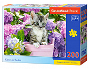 Castorland ���� ������� � ������� 200 ��������� 2209/B10-222209 � 7 ���