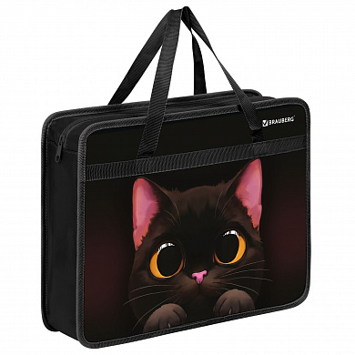 Brauberg ����� �� ������ � ������� �4 1 ��������� ������� 80 �� Big black cat 274495