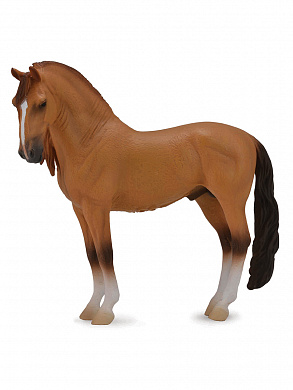 Collecta ������� ������ ������� ��������� ������-���������� XL 88701b � 3 ���