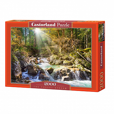 Castorland ���� ������ ����� 2000 ��������� 0382/C-200382 � 12 ���