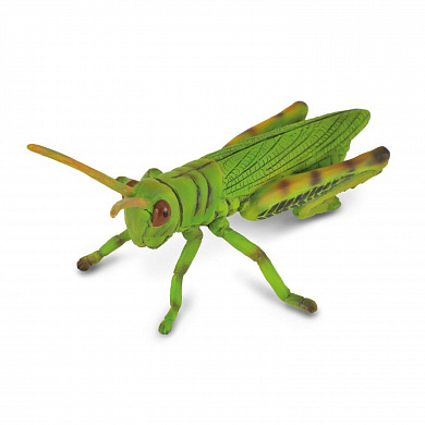 Collecta ������� �������� � 88352 � 3 ���