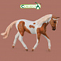Collecta ������� ������ ������ ����� �������� XL 88692b � 3 ���