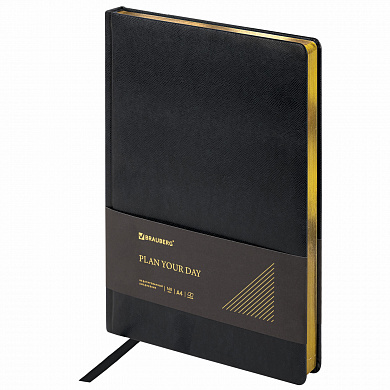 Brauberg ���������� �������������� 210�297 �� �4 Iguana ��� ���� 160 � ������114452