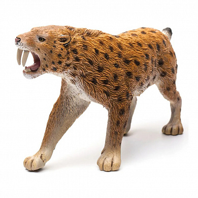 Collecta ������� �������� 88715b � 3 ���